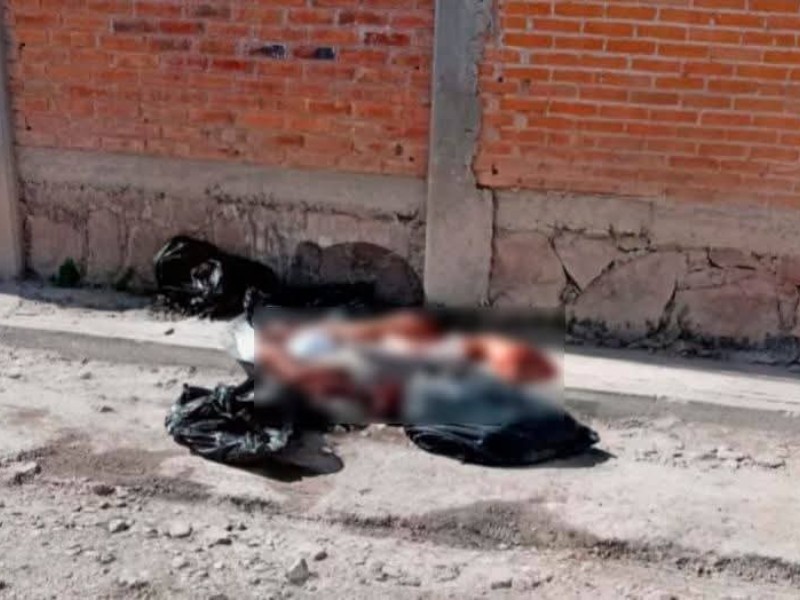FGE investiga hallazgo de cuerpos en Álamo