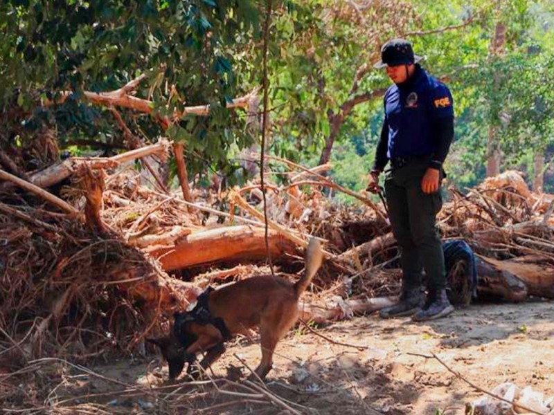 FGE localiza cuerpo de menor desaparecida durante el huracán Otis