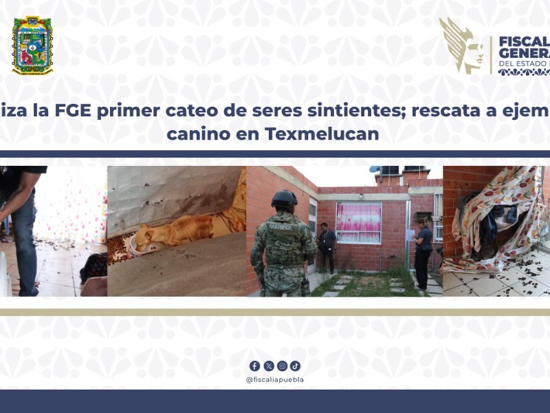 FGE realiza primer cateo para rescatar a canino