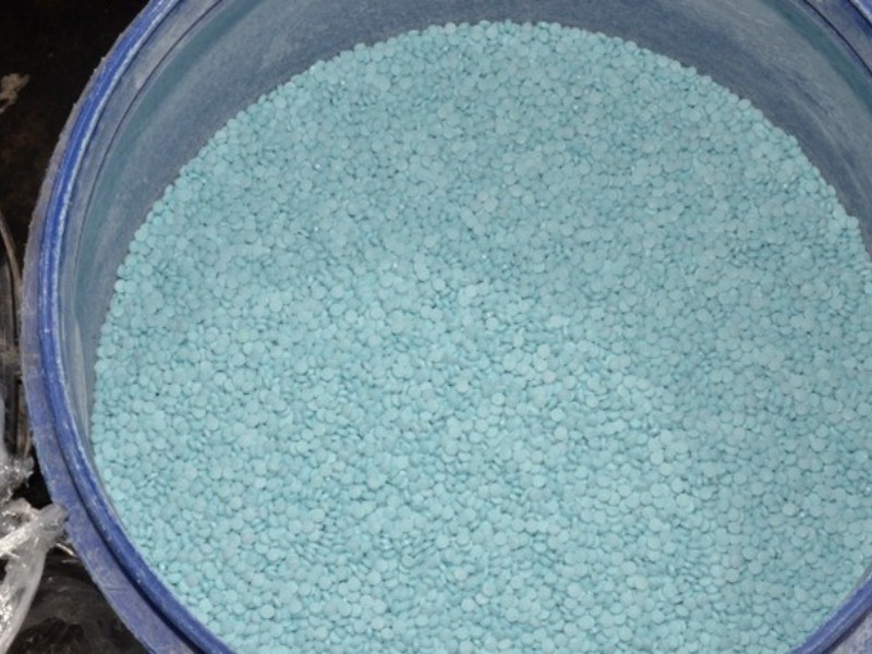 FGR incinera un millón de pastillas de fentanilo en Sinaloa