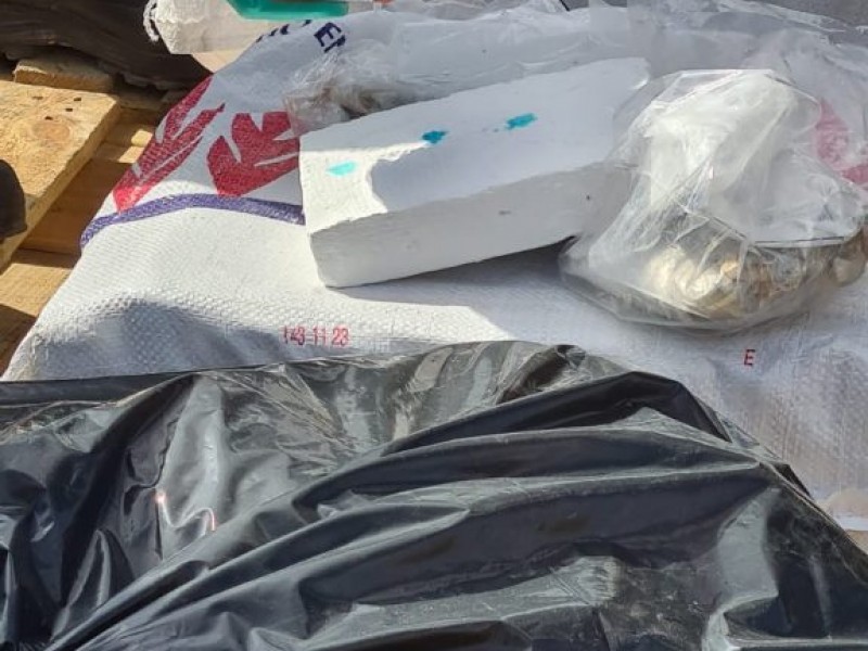 FGR incineró más de 120 kg de narcóticos en Nayarit