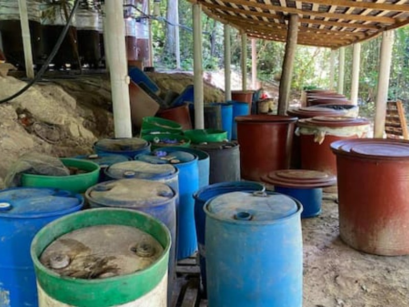 FGR y Sedena desmantelan segundo narcolaboratorio en Palenque