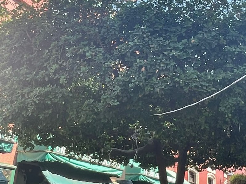 Fichas de desaparecidos Retiradas previo a Día de Muertos en Zamora