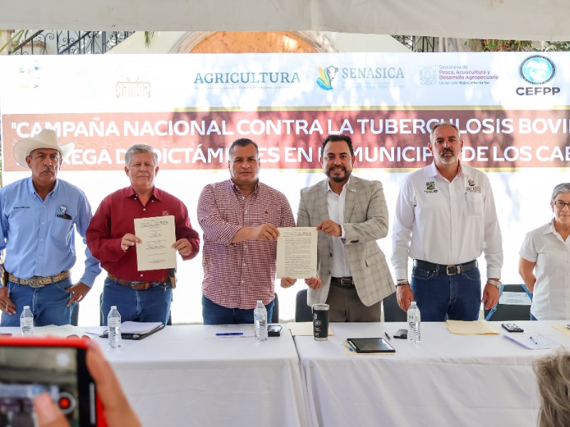Firman cierre de barrido de tuberculosis bovina en Los Cabos