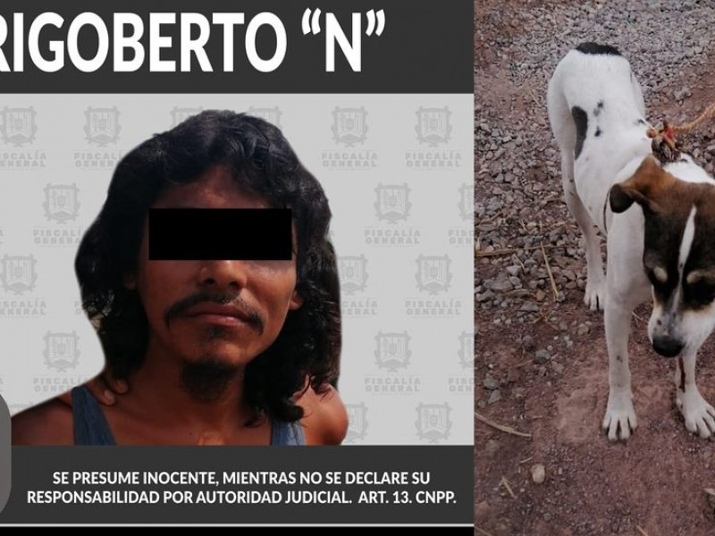 Fiscalía detiene a hombre por ahorcar a su perro