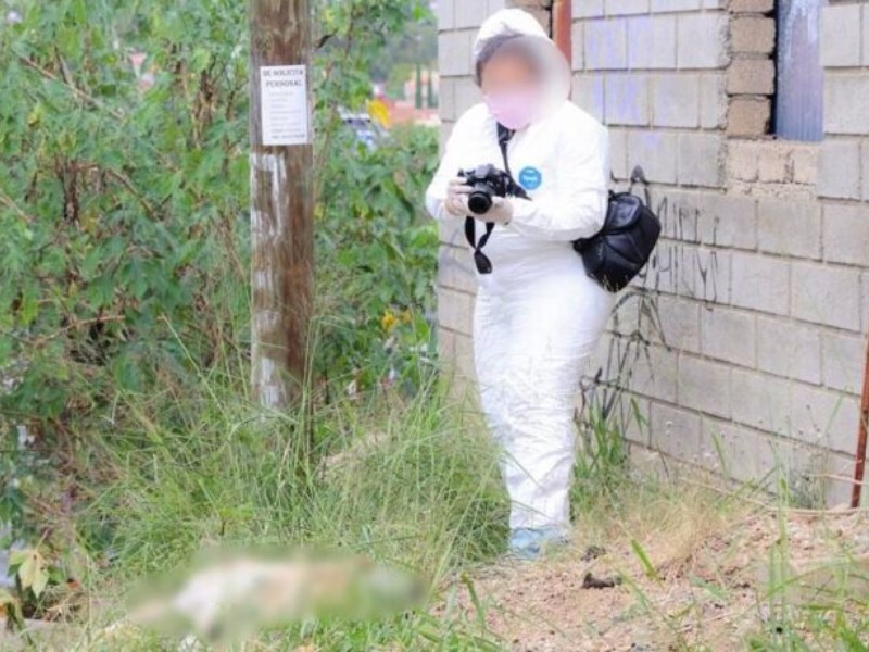 Fiscalía investiga muerte violenta de un perro en San Martín Mexicapan