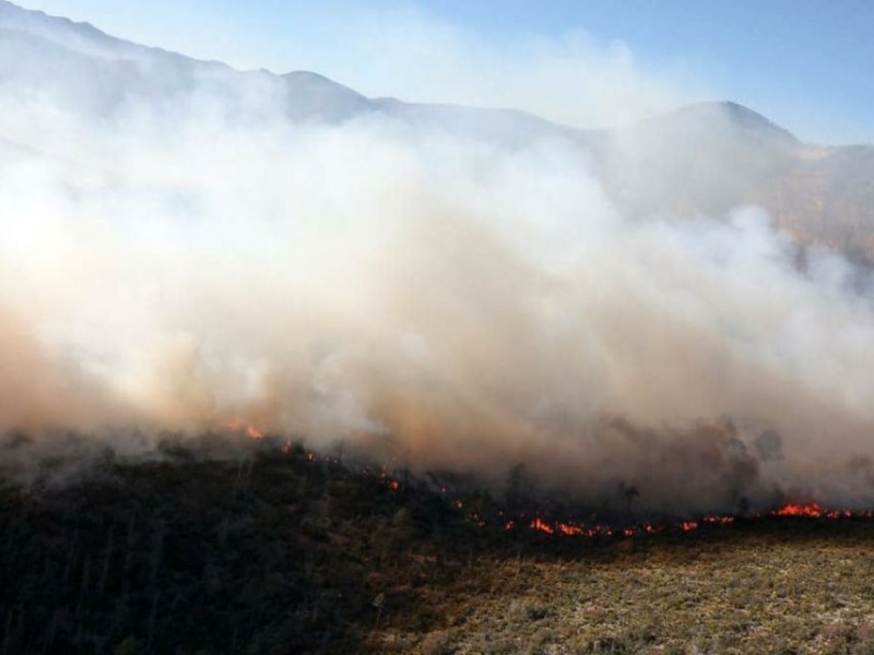 Fiscalía tiene identificados a presuntos responsables de incendio de Arteaga