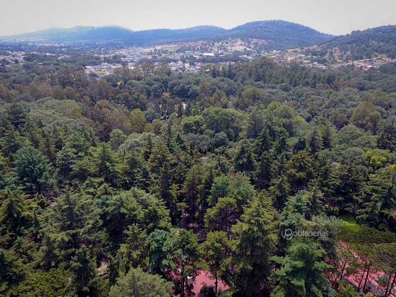 Flor del Bosque pasa a ser Reserva Ecológica