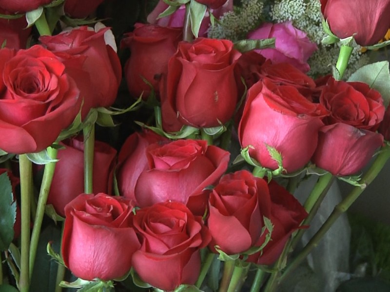 Florerías se preparan para el Día de San Valentín