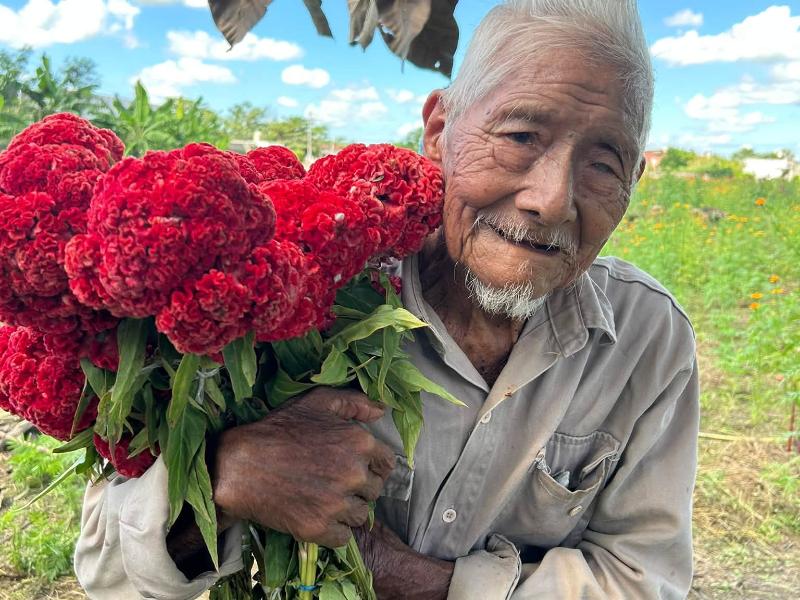 Flores criollas de Tuxtepec generan muestras de apoyo y reconocimiento en México
