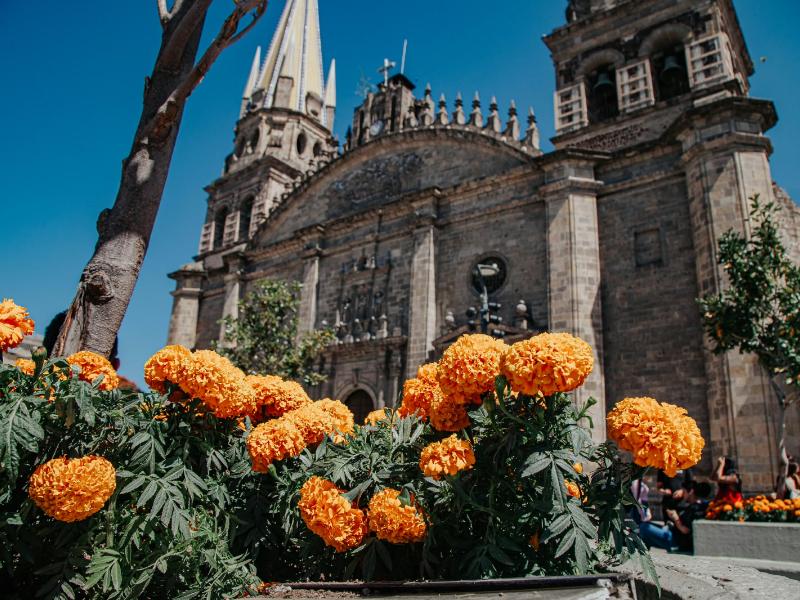 Flores de cempasúchil adornan Guadalajara por el Día de Muertos