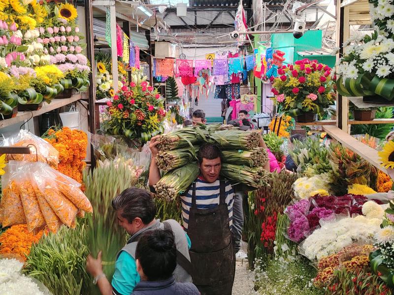 Flores de Día de Muertos aumentan ventas hasta 80% en mercados Toluqueños