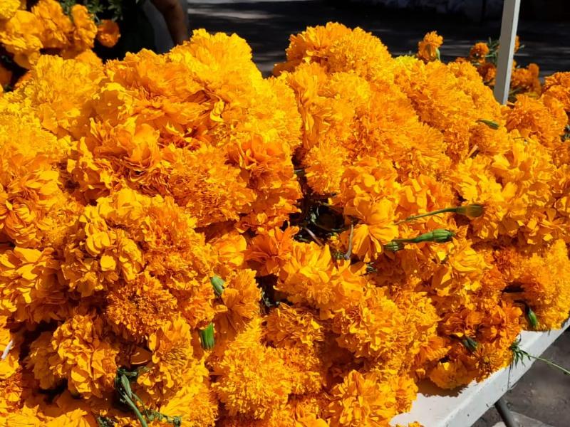 Flores naturales en altares son la mejor opción