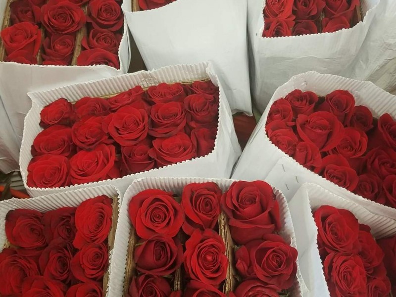 Floricultores mexiquenses venderán 695 mdp en Día del Amor