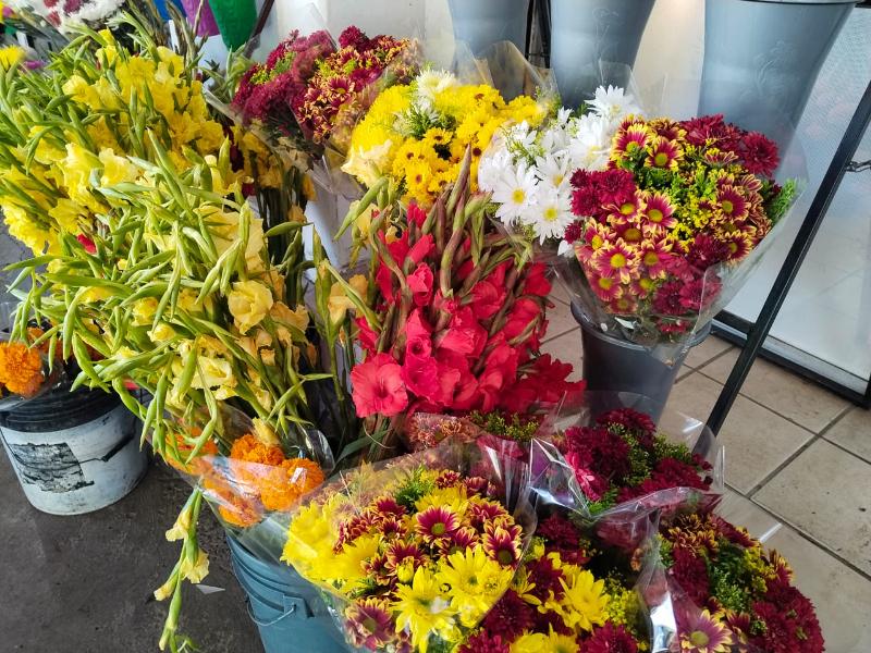 Floristas se preparan para atender demanda por el Día de Muertos