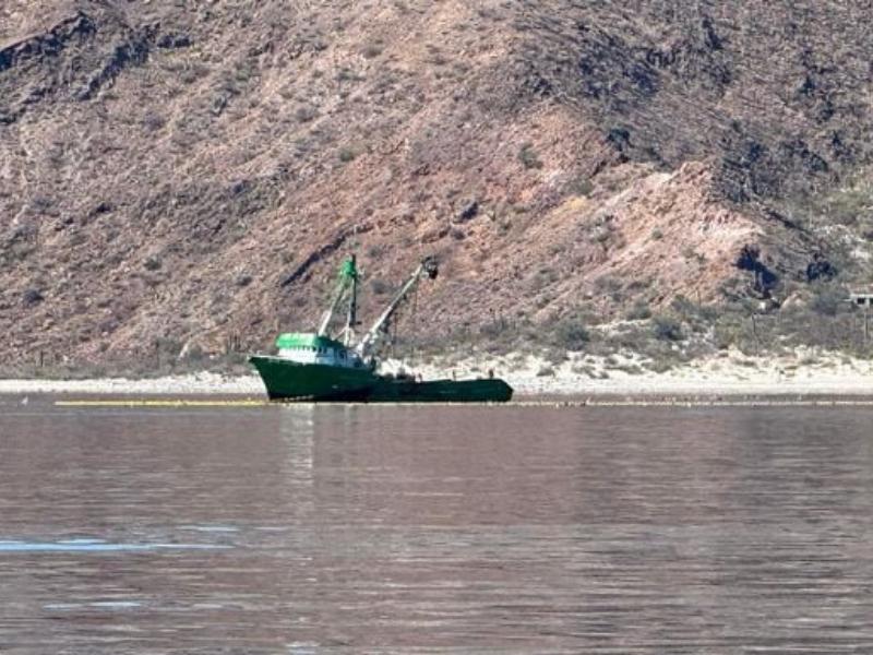 Flota sardinera regresa a altamar con incertidumbre por bajas capturas