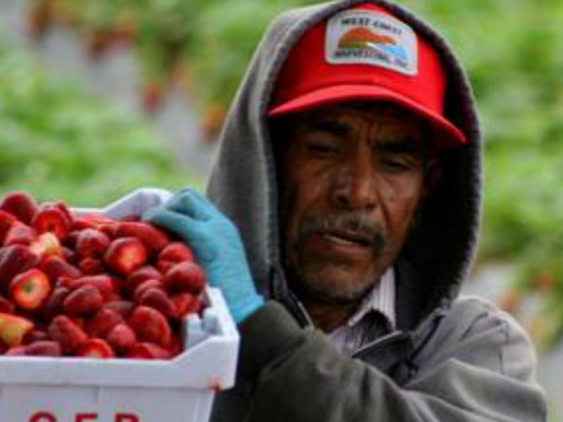 Flujo migratorio y remesas de Chiapanecos, a la baja