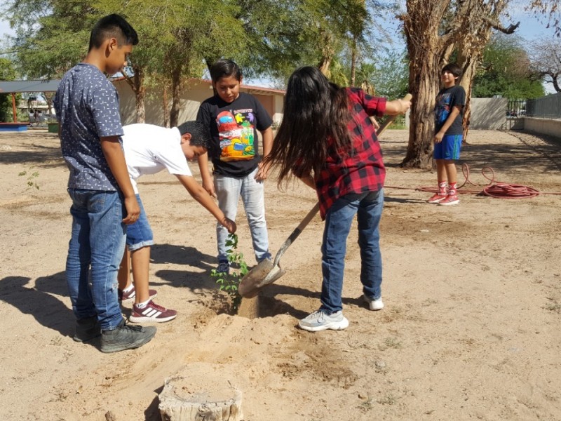 Fomenta Desarrollo Urbano reforestación