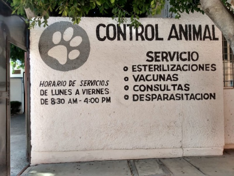 Fomenta UCAM adopción y esterilización de mascotas