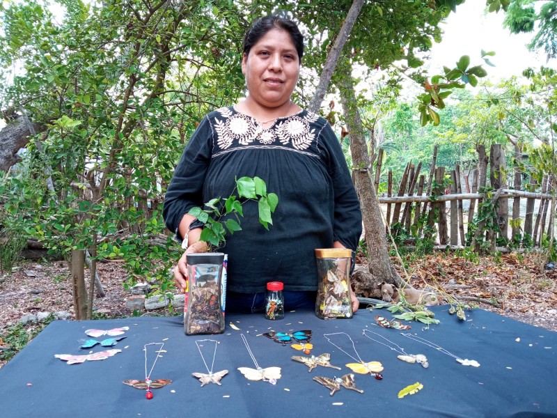 Fomentan conservación de las mariposas