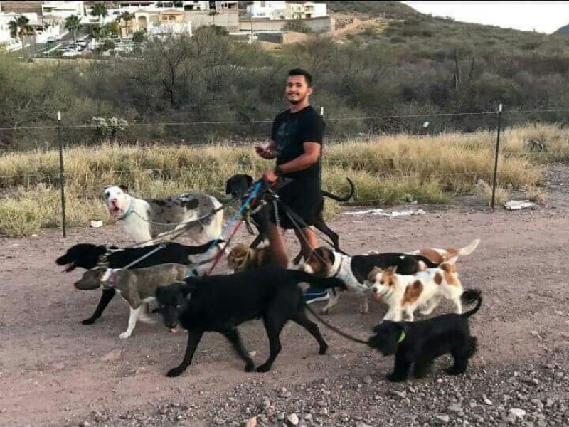 Fomentan cultura del cuidado canino