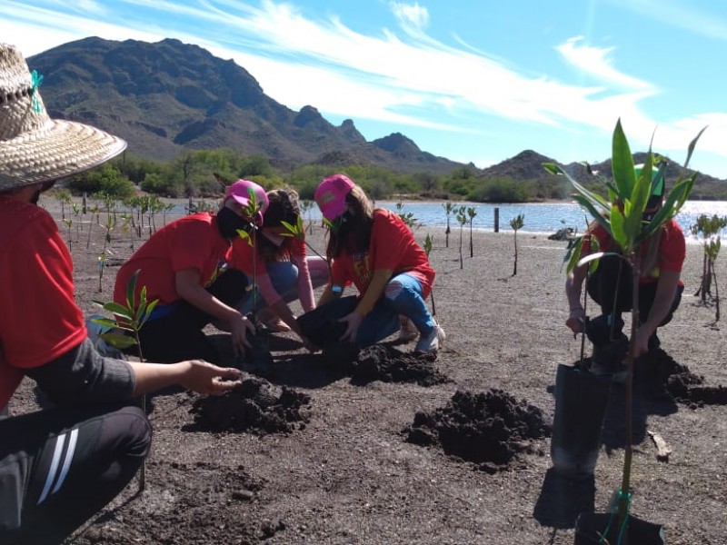 Fomentan deporte para reforestación de mangle en Estero del Soldado