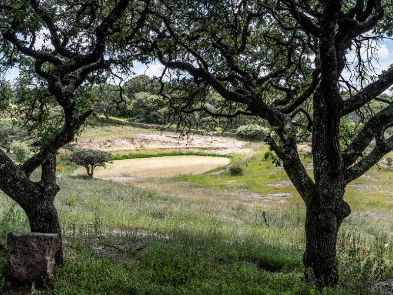 Fomentan la conservación de las áreas naturales protegidas en Guanajuato