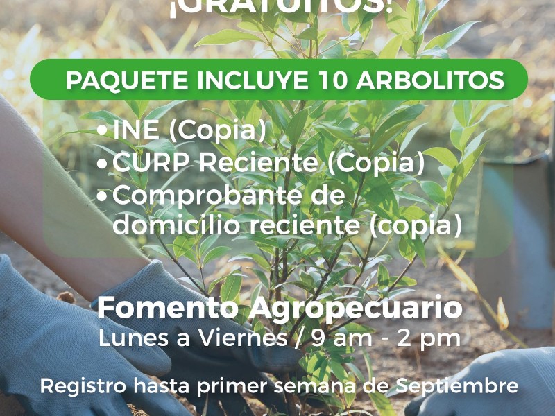 Fomentan la reforestación en el municipio de Ecuandureo