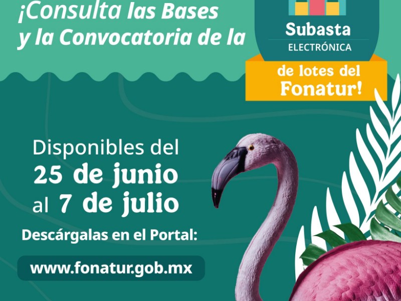 Fondo Nacional de Fomento al Turismo subastará terrenos en línea