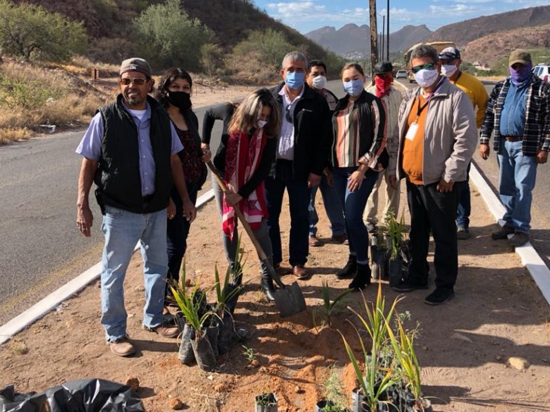 Forestan DIF y Ecología camellón entre El Simón y calle