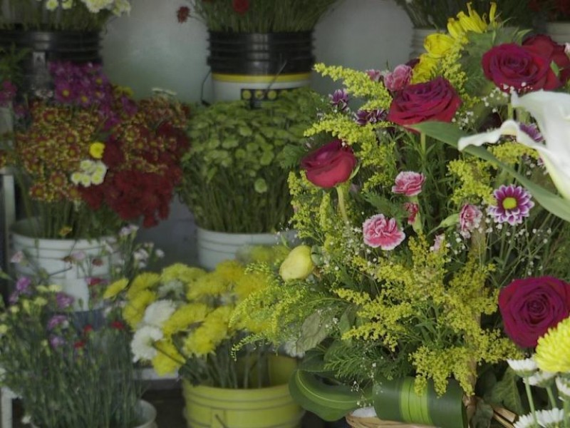 Floristas se establecerán en la plaza del músico