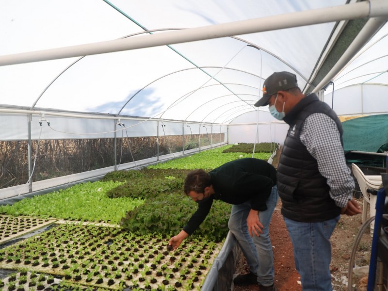 Fortalecen a productores acuícolas en Querétaro