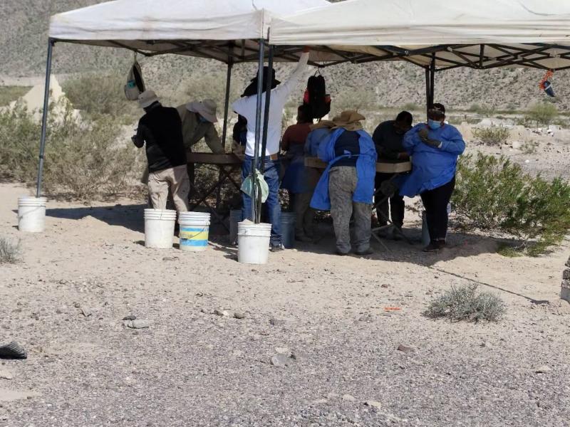 Localizan 13 fosas clandestinas en Viesca; restos siguen sin identificar