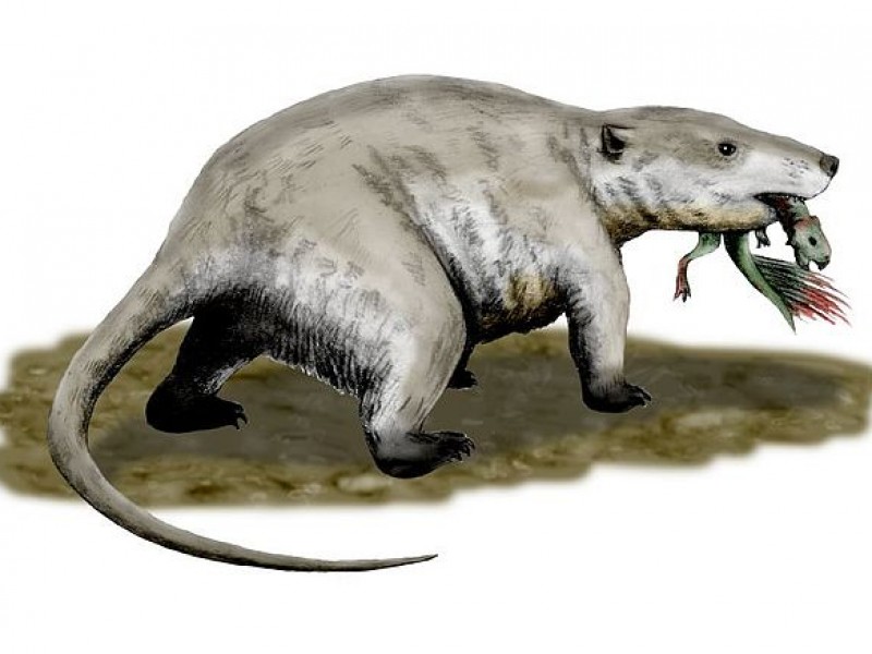 Fósil muestra evidencias de mamífero atacando a un dinosaurio