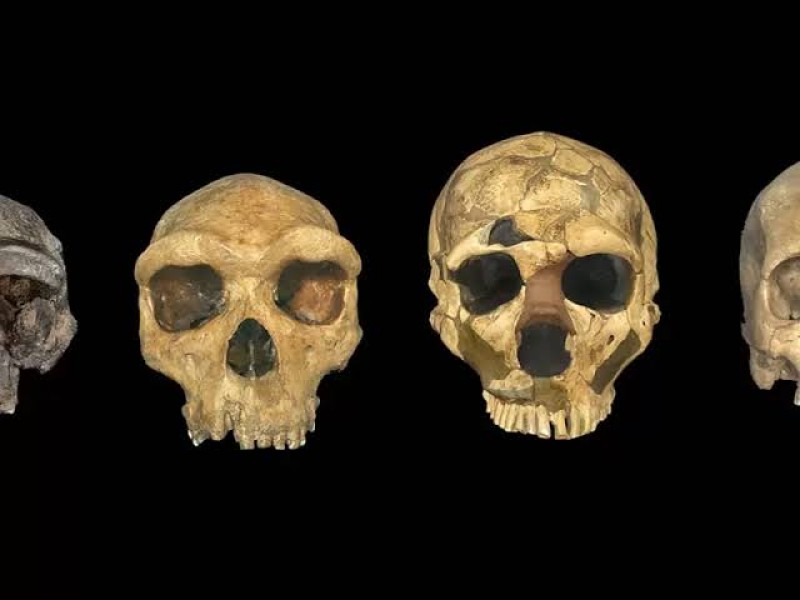 Fósiles humanos de 68 mil años arrojan nuevas evidencias