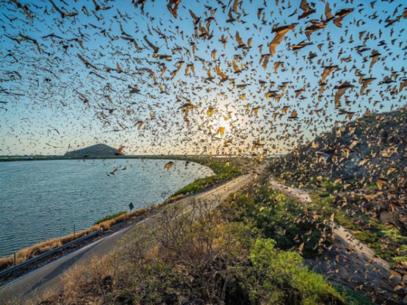 Fotografía de Eden  Dusk gana premio de Fundación Azteca