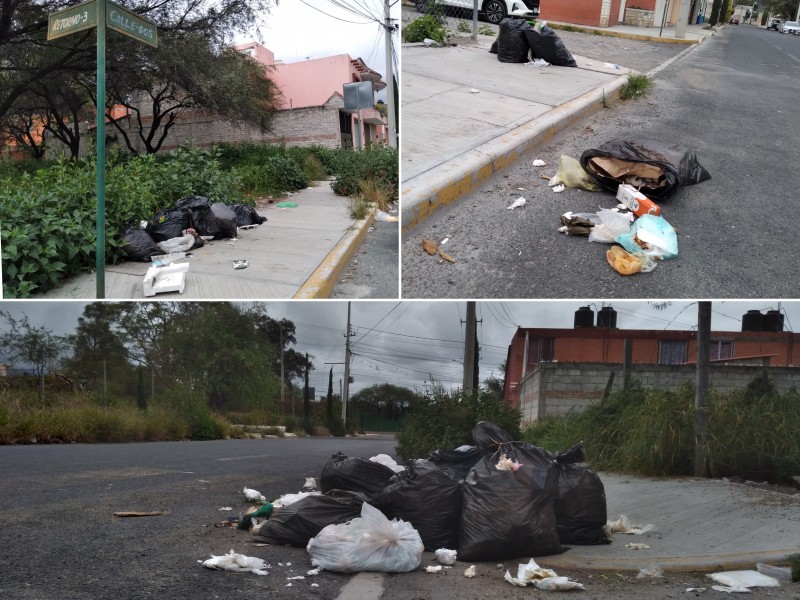 Fraccionamiento Santa María: por falta de recolección basura en calles