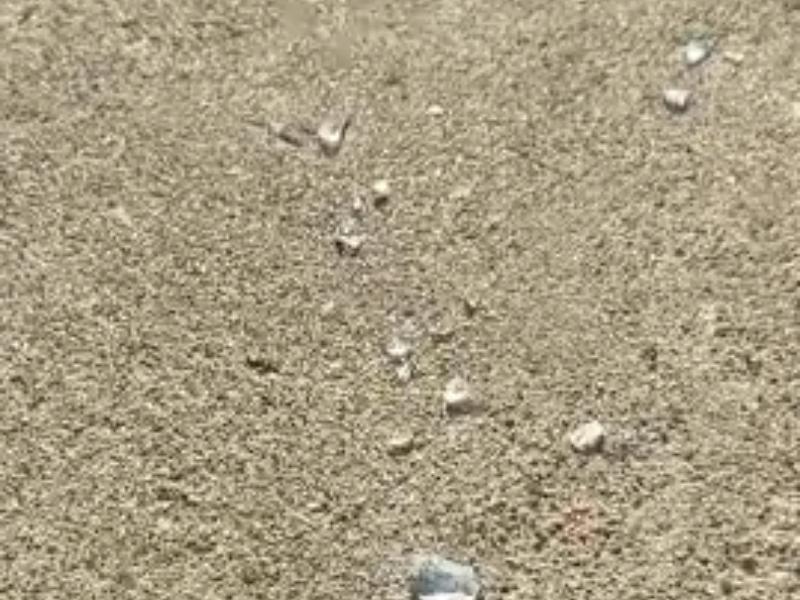 Fragmentos de vidrio en el malecón de Playa Abierta de Salina Cruz