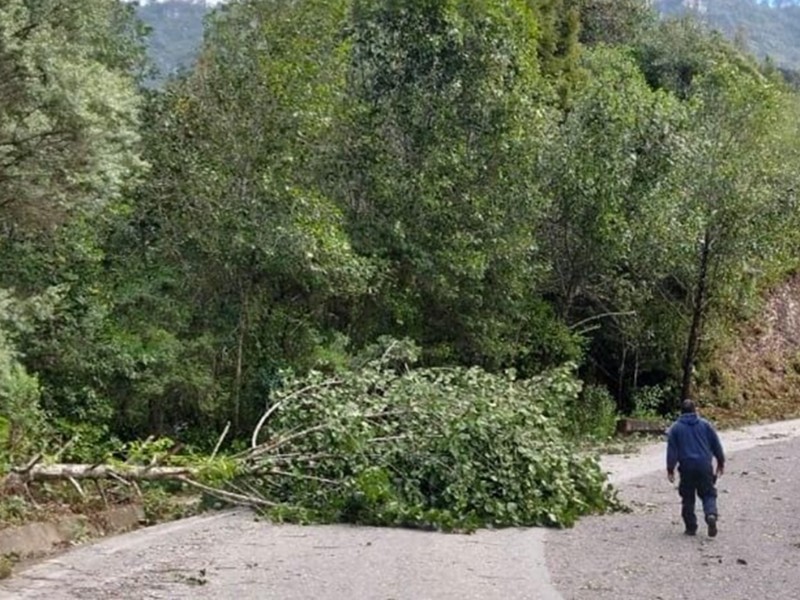 Frente frío 13 deja afectaciones menores en diversas regiones de Oaxaca
