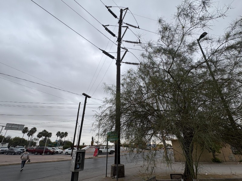 Frente Frío 16 traerá lluvias, vientos fuertes y bajas temperaturas