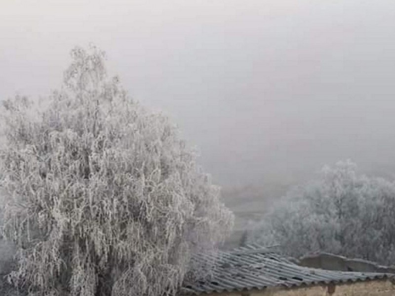 Frente Frío 25 provoca heladas y lluvias