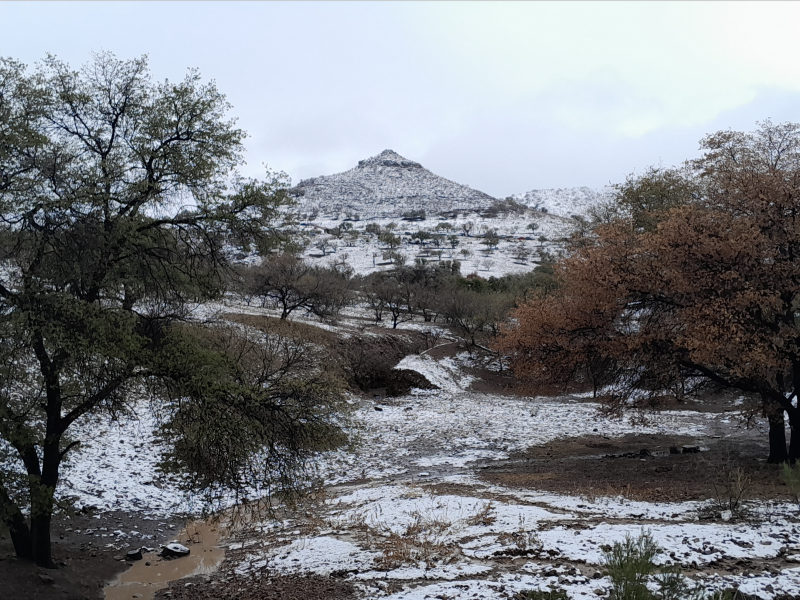 Frente frío 34 provoca caída de nieve en la frontera