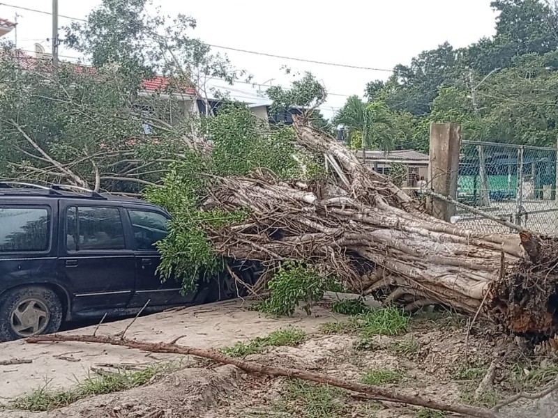 Frente frío deja daños menores y activa recomendaciones preventivas Frente frío deja daños menores y activa recomendaciones preventivas