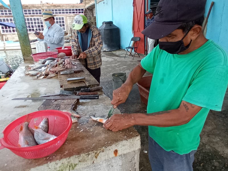 Frente fríos detienen actividad pesquera en Tuxpan