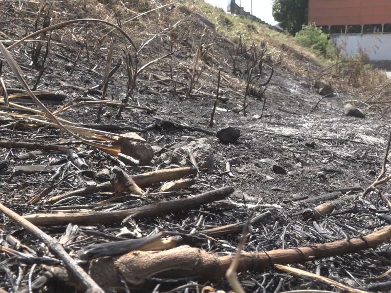 Fuertes vientos incrementan incendios de pastizales en Tehuantepec: Protección Civil