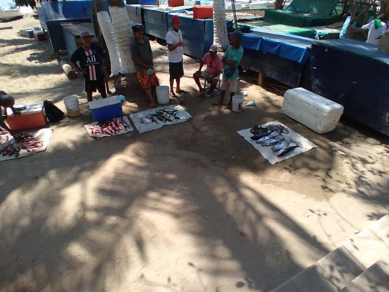 Frentes fríos y corrientes, dificultan la captura de peces