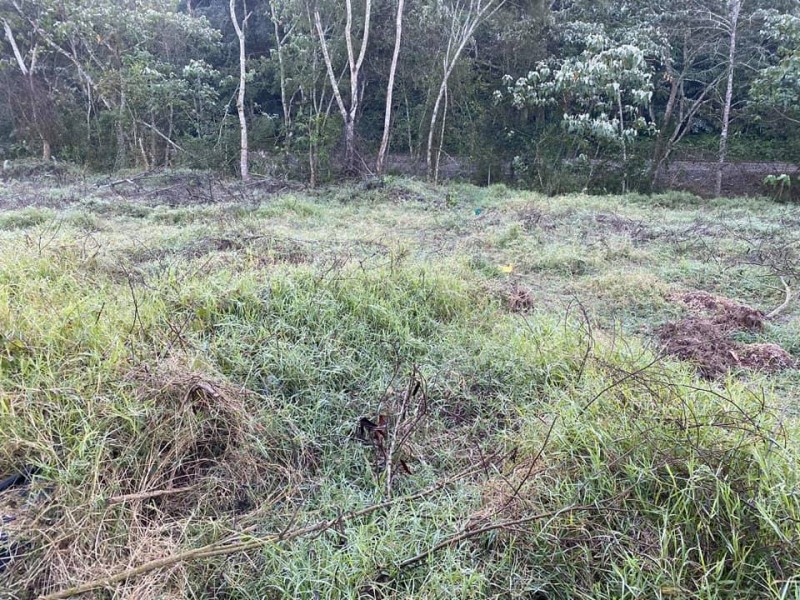 Fría mañana y heladas ligeras en regiones de Veracruz