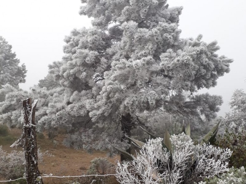 Frío fin de semana en Guanajuato