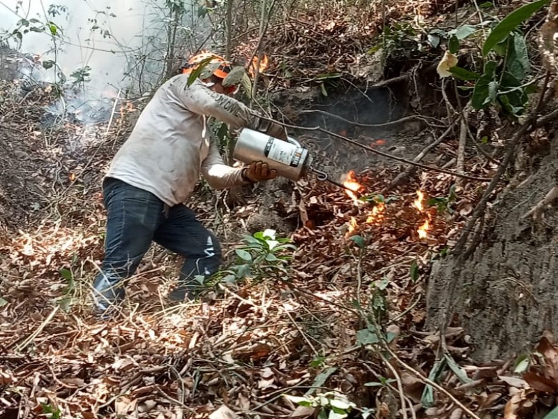 Fue provocado el incendio del Cerro Mactumatzá: PC