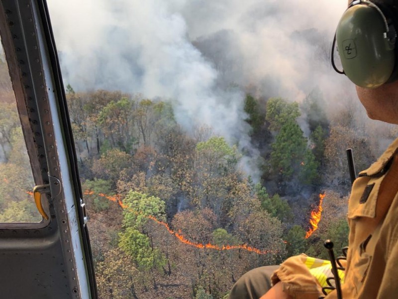 Fuego consume 74 hectáreas en La Primavera